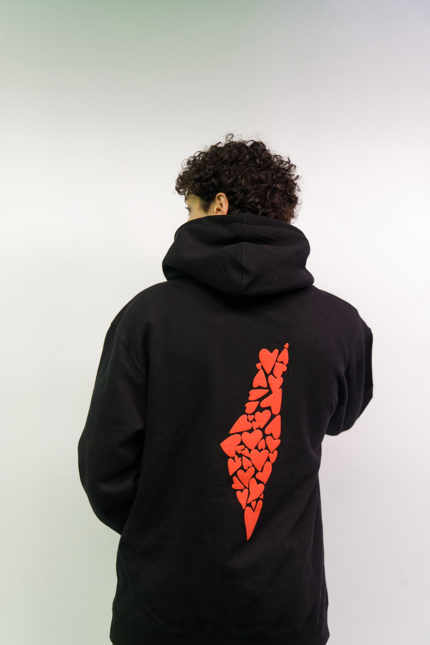 Will You Free My Palestine?