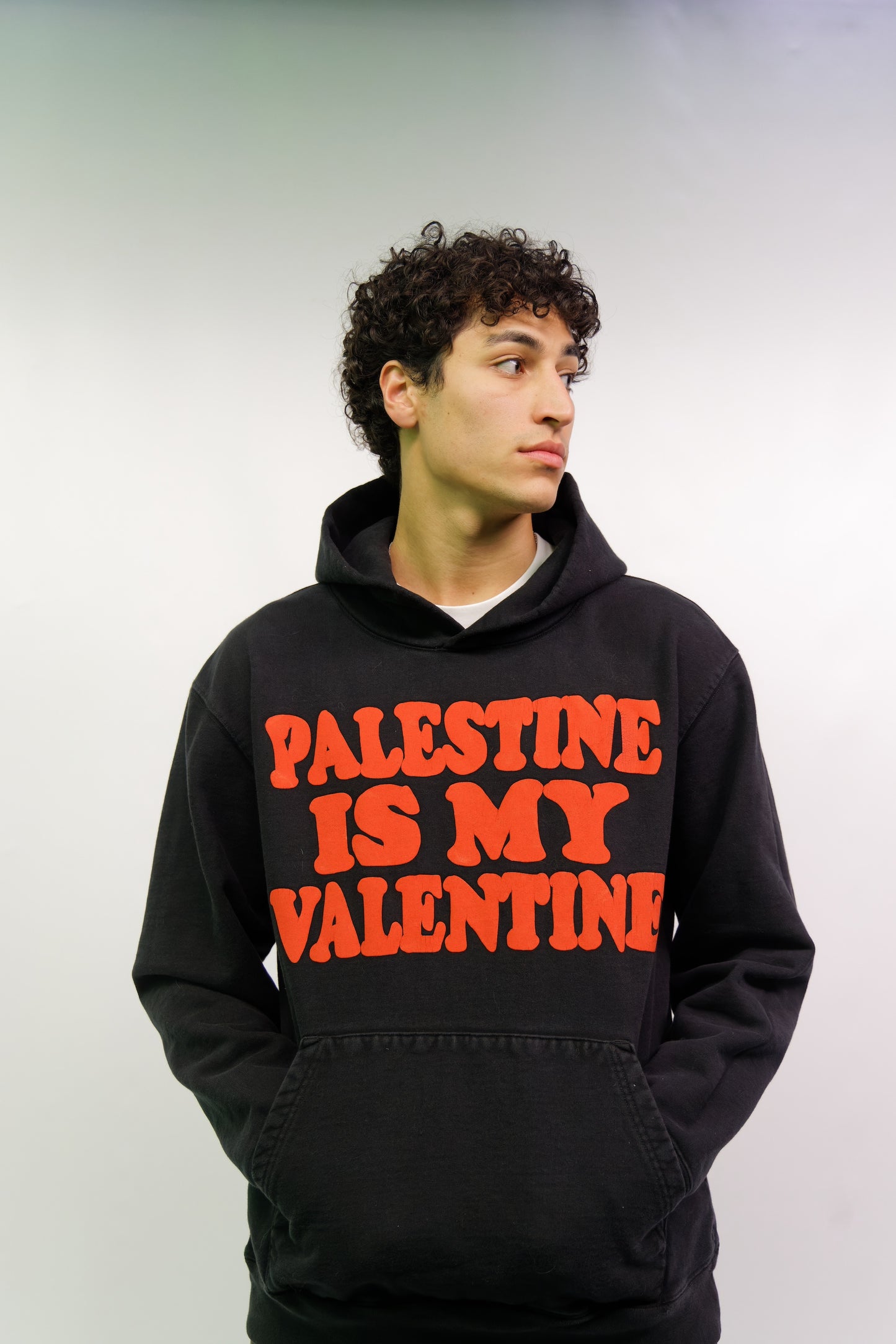 Palestine Is My Valentine